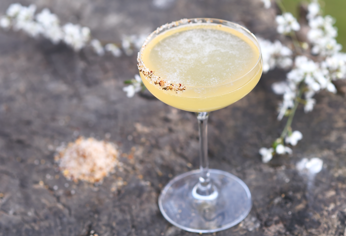 Elder Margarita