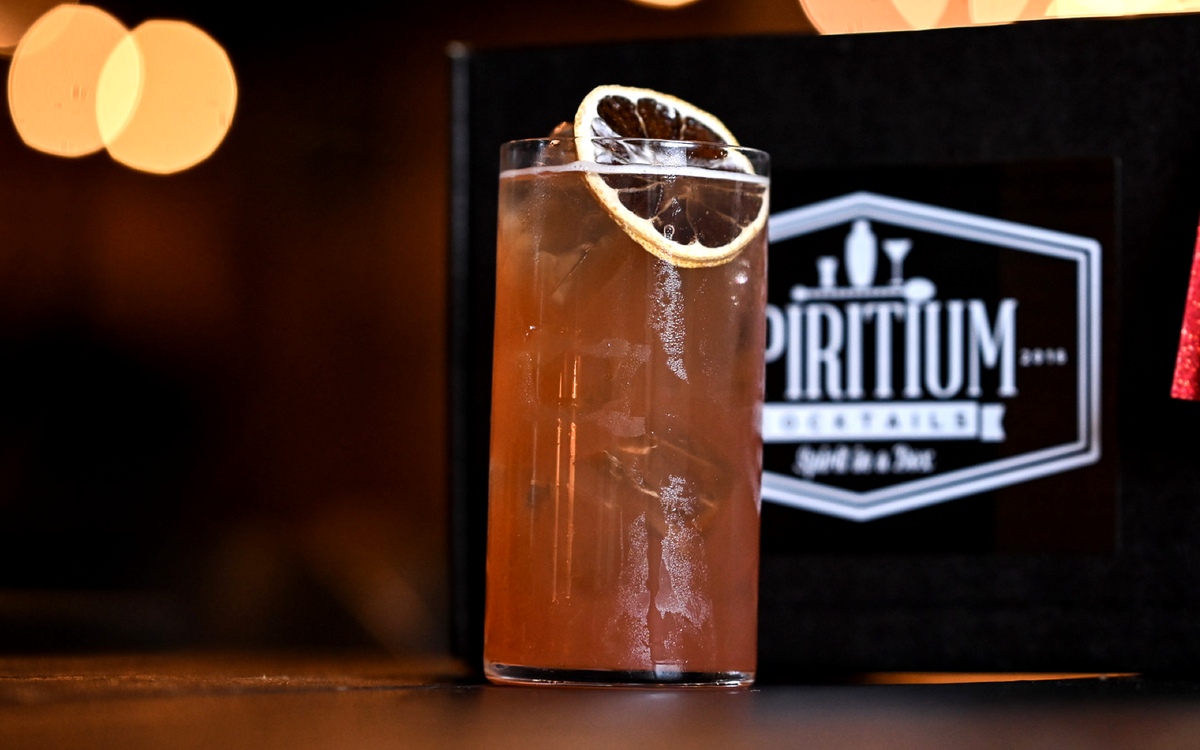 Sloe Gin Fizz