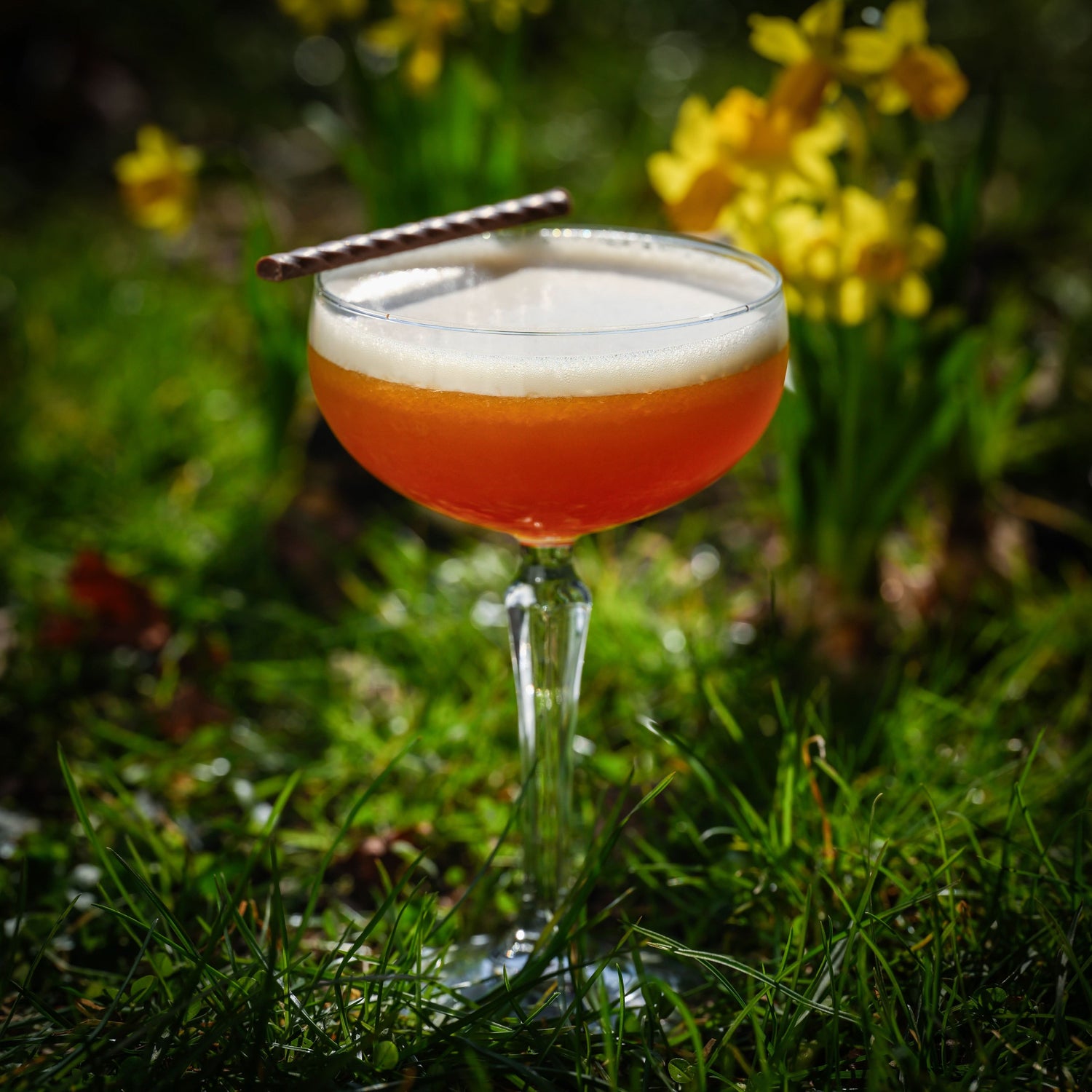 Chocolate Daiquiri - Cocktailpakke (8 stk.)