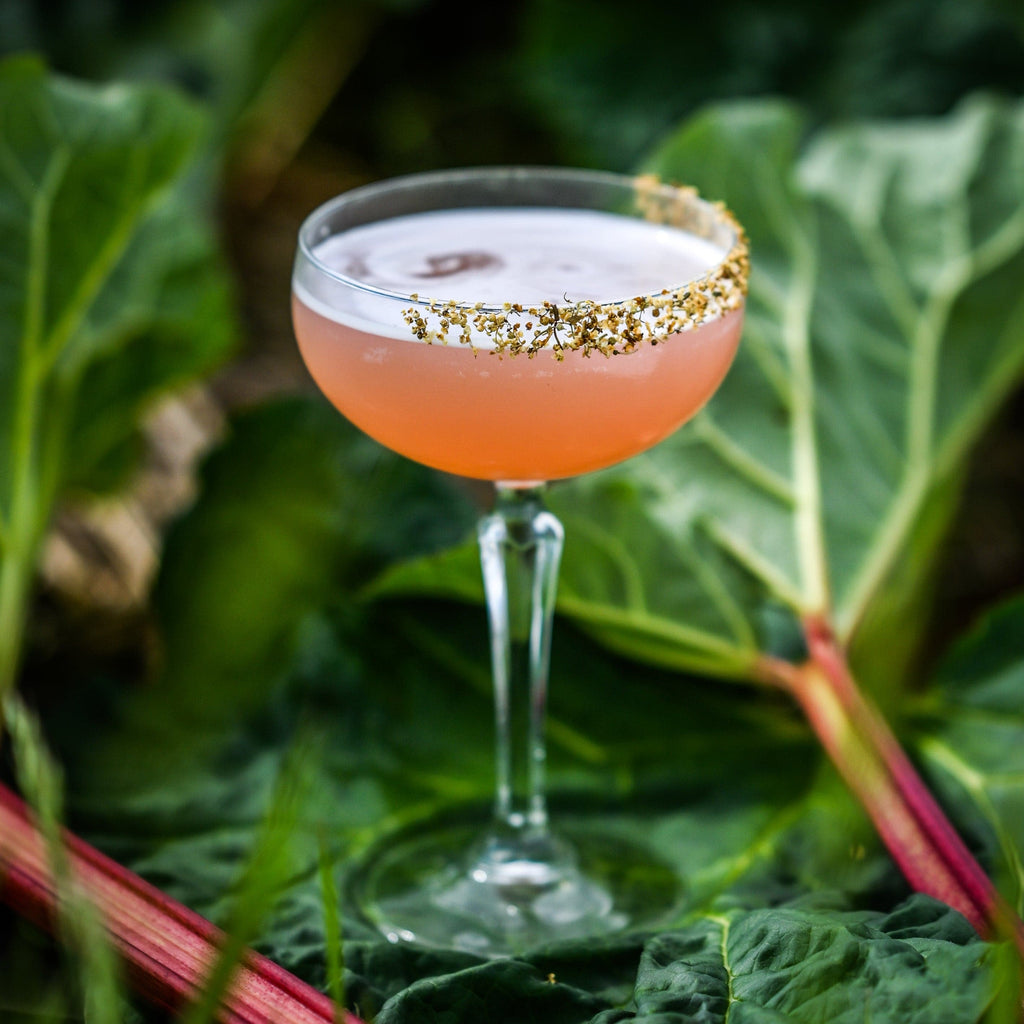 Rosy Rhubarb Cocktailen